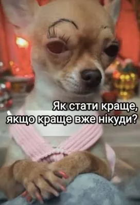 Анекдот у картинці №2169