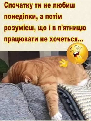 Анекдот у картинці №2179