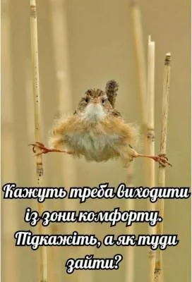 Анекдот у картинці №2182