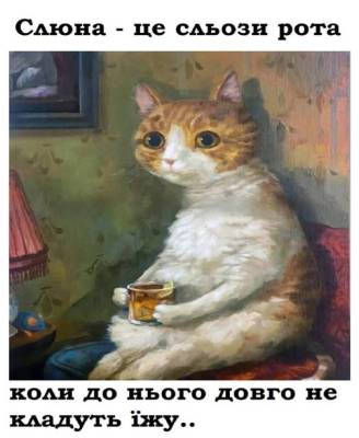 Анекдоти в картинках