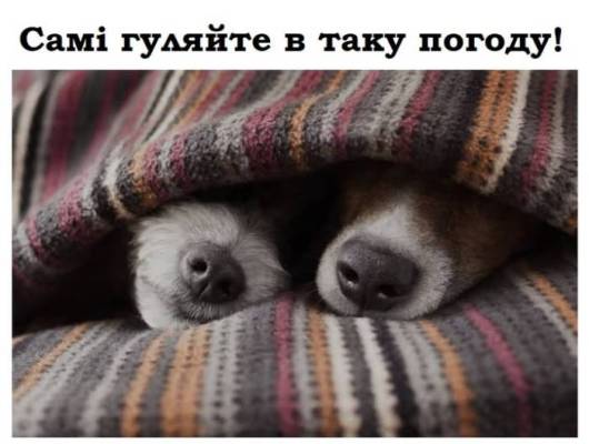 Анекдоти в картинках