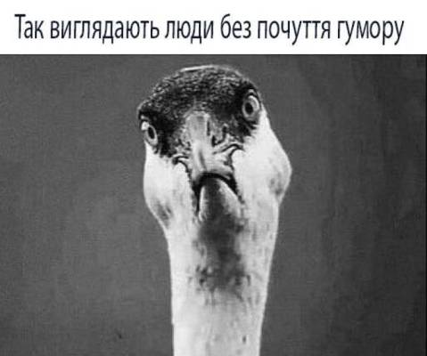 Анекдоти в картинках