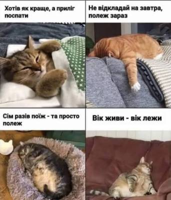 Анекдоти в картинках