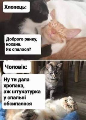 Анекдоти в картинках