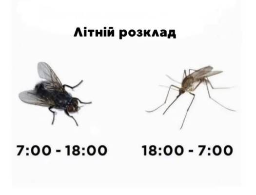 Мем №2353