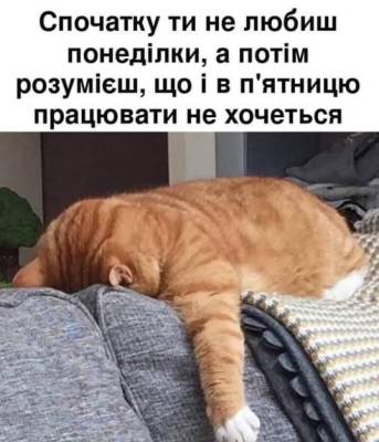 Мем №2356