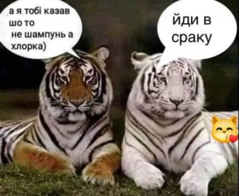 Анекдот у картинці №2214