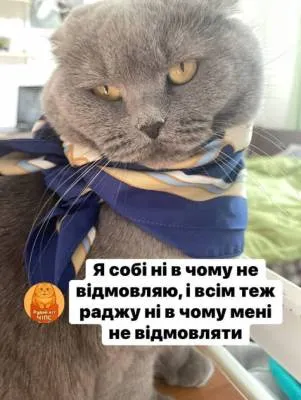 Анекдот у картинці №2220