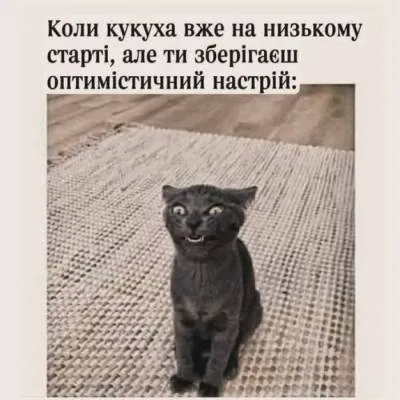 Анекдот у картинці №2225