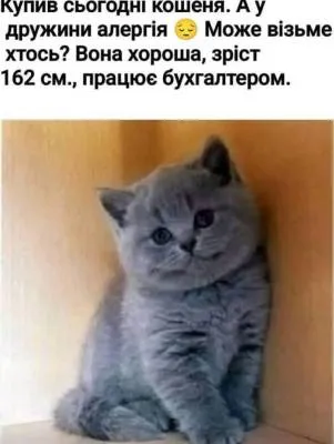 Анекдот у картинці №2238