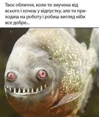 Анекдот у картинці №2244