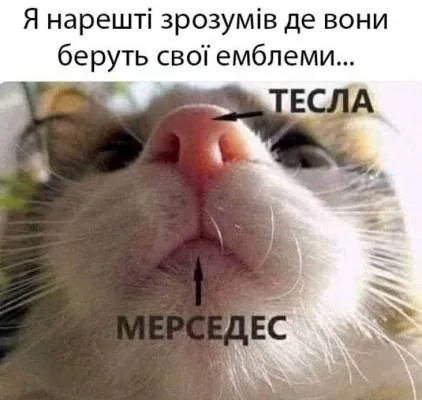 Анекдот у картинці №2246
