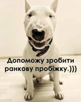 Анекдот у картинці №2251