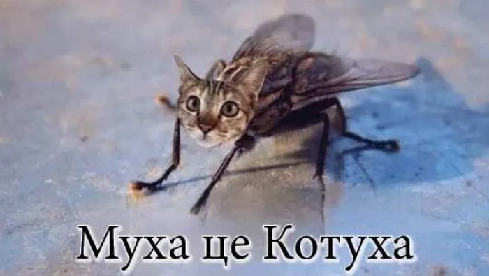 Анекдот у картинці №2258