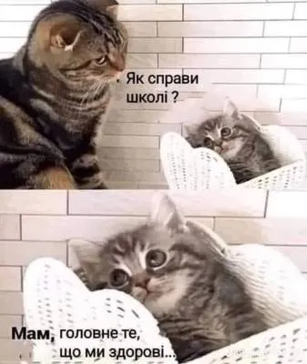 Анекдот у картинці №2274