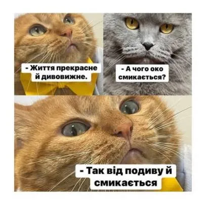Анекдот у картинці №2279