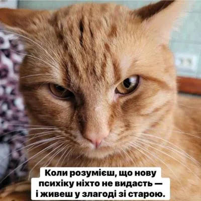Анекдот у картинці №2328