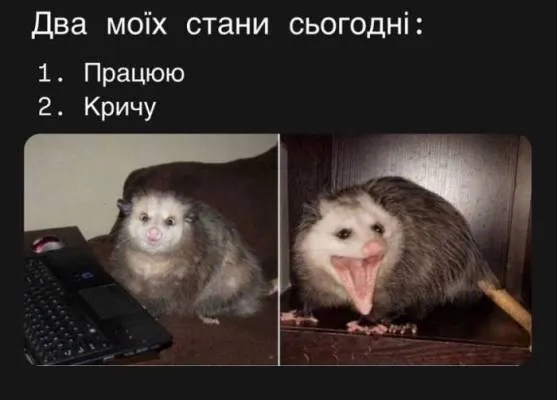 Анекдот у картинці №2341