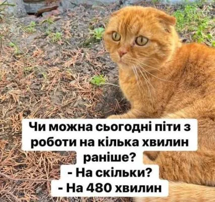Анекдот у картинці №2352