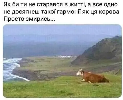Анекдот у картинці №105