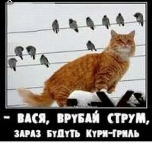Анекдот у картинці №115
