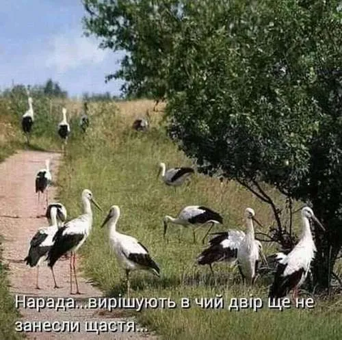 Анекдот у картинці №12