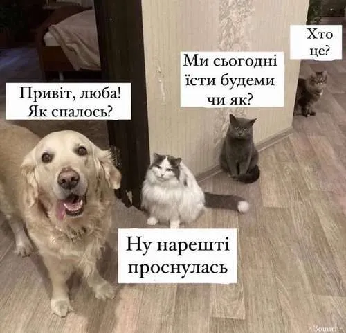 Анекдот у картинці №128