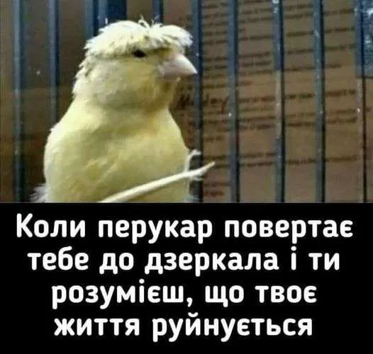 Анекдот у картинці №163