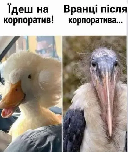 Анекдот у картинці №165