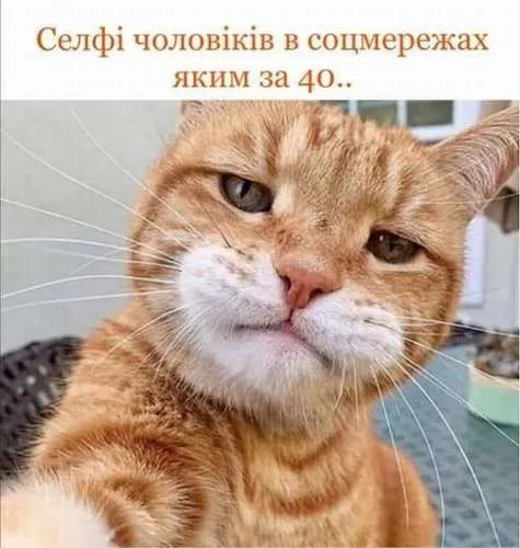Анекдот у картинці №170
