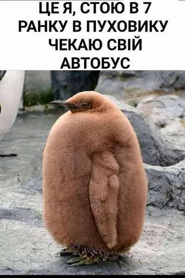 Анекдот у картинці №183