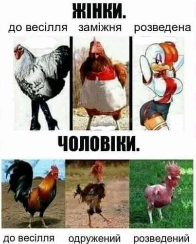 Анекдот у картинці №192