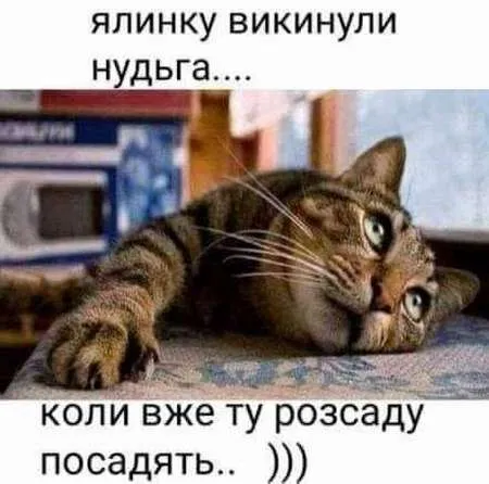 Анекдот у картинці №198