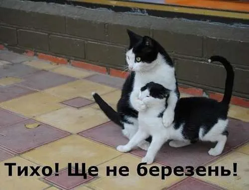 Анекдот у картинці №223
