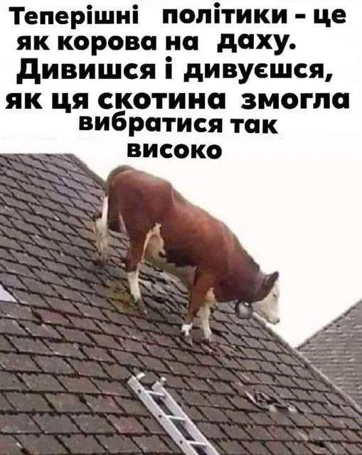 Анекдот у картинці №27