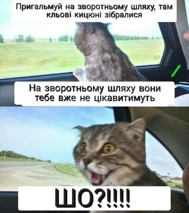 Анекдот у картинці №75