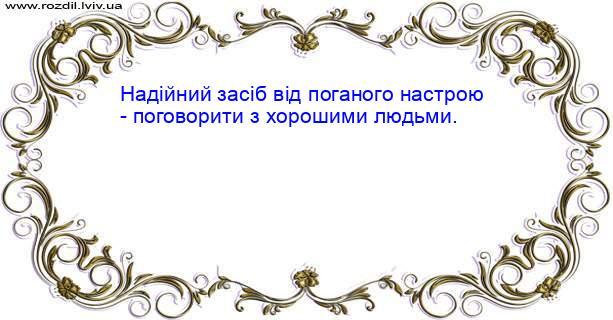 Цитата №31