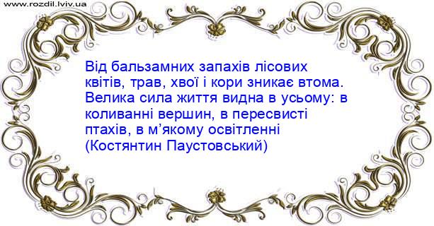 Цитата №4203