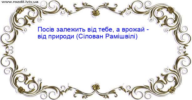 Цитата №4285