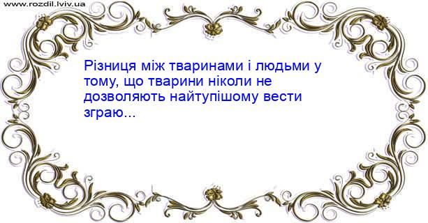 Цитата №388
