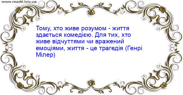 Цитата №484