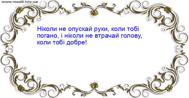 Цитата №906