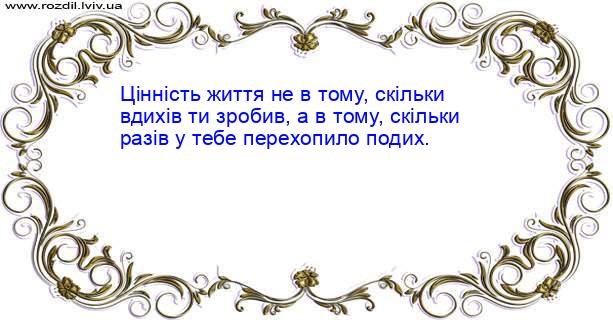 Цитата №937