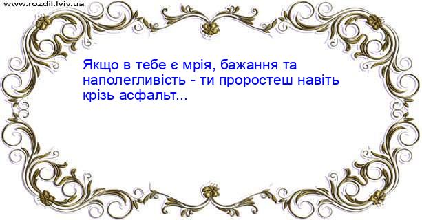 Цитата №1224