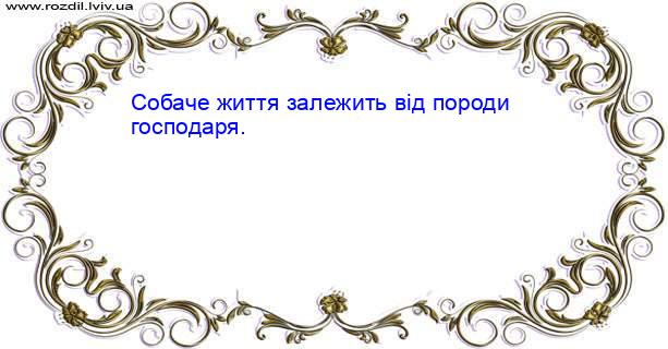 Цитата №1408