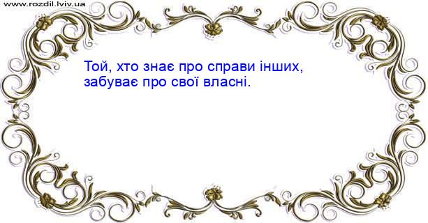 Цитата №1542