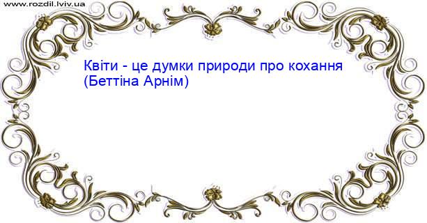 Цитата №1861