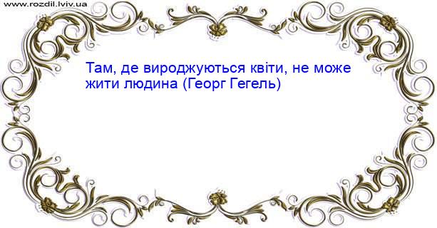 Цитата №1903