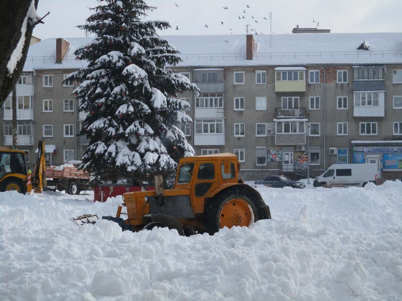 🌄 м. Новий Розділ, зима 2021 р.