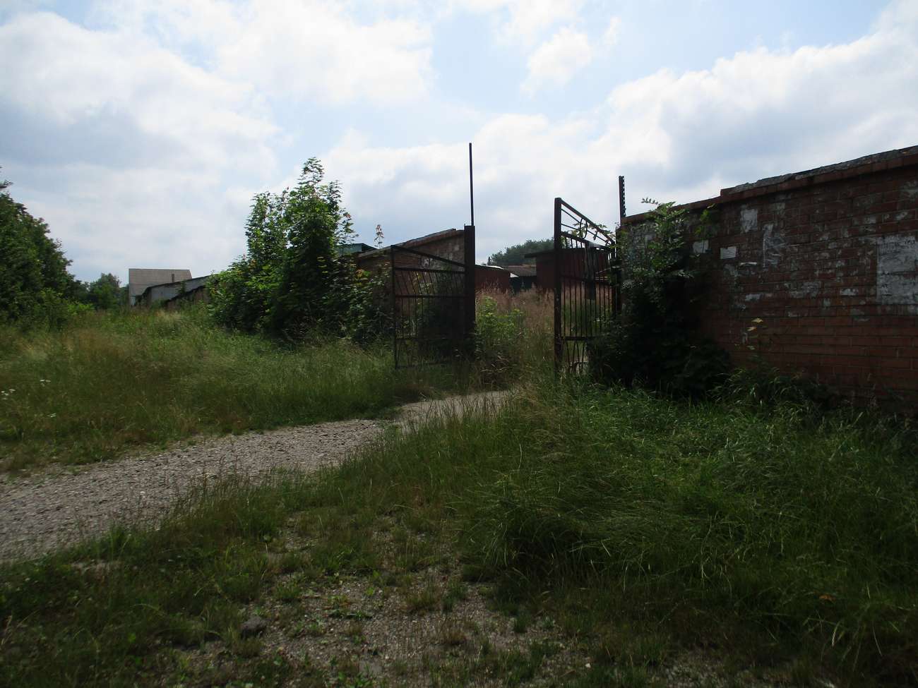 👨‍⚖️ Старий ринок